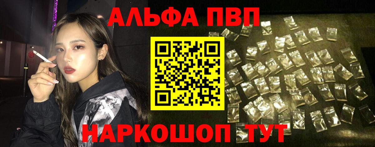 Альфа ПВП СК КРИС Черкесск