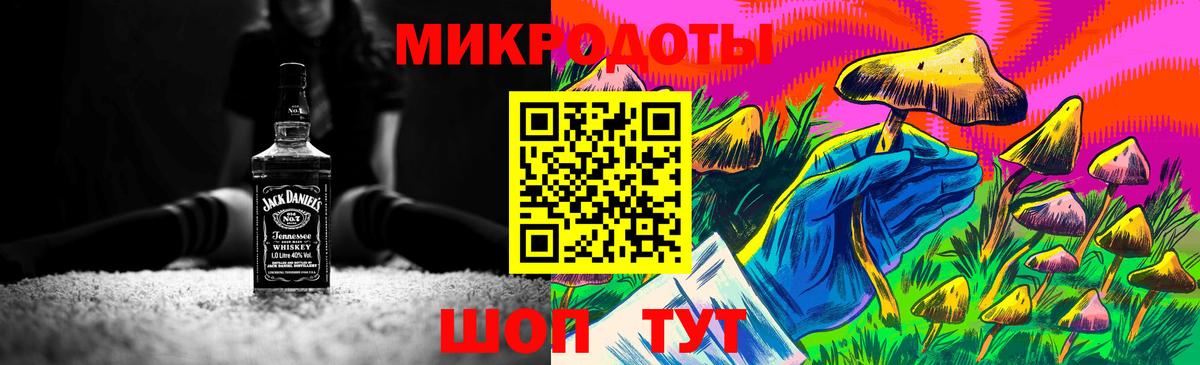 Галлюциногенные грибы Psilocybe Черкесск